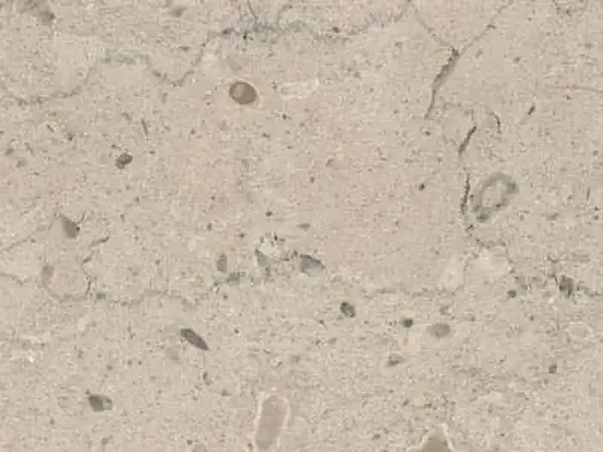 Chanteuil Bleu calcare, campione lucido – Marmi di Carrara – grigio chiaro, beige (1)