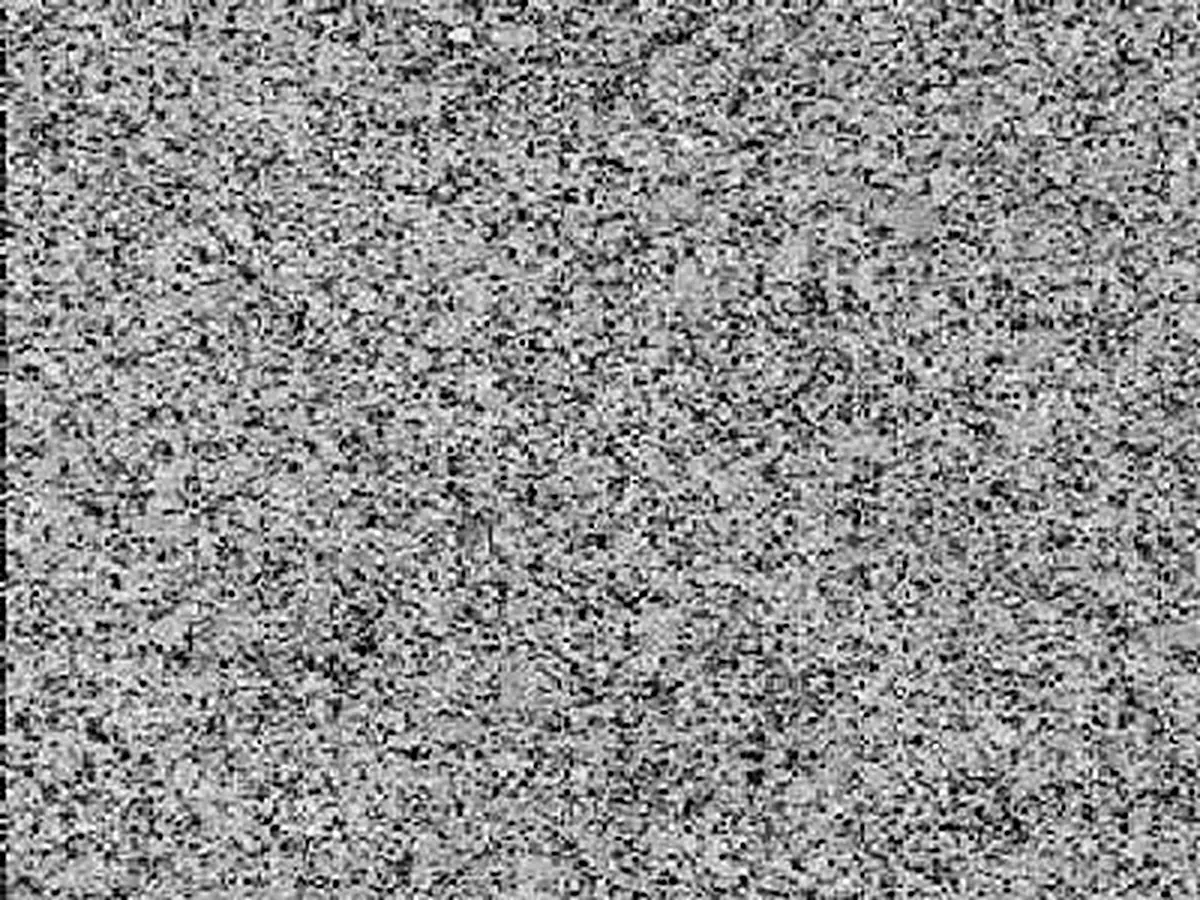 Cinza Castelo granite polished sample – Marmi di Carrara – grey, light grey (1)