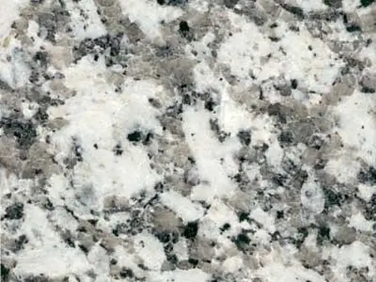 Conquistador Gris granito, muestra pulida – Marmi di Carrara – gris, verde (1)