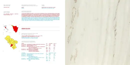 Cremo Delicato marmo, superficie di lastra – Marmi di Carrara – bianco, avorio (18)