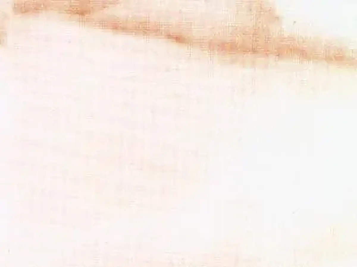 Cremo Delicato мрамор, полированный образец – Marmi di Carrara – белый, слоновая кость (24)