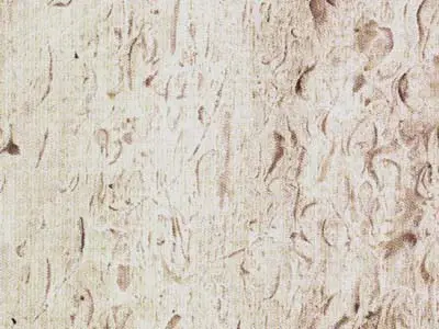 Crystal Bianco известняк, полированный образец – Marmi di Carrara – слоновая кость, светло-серый (1)