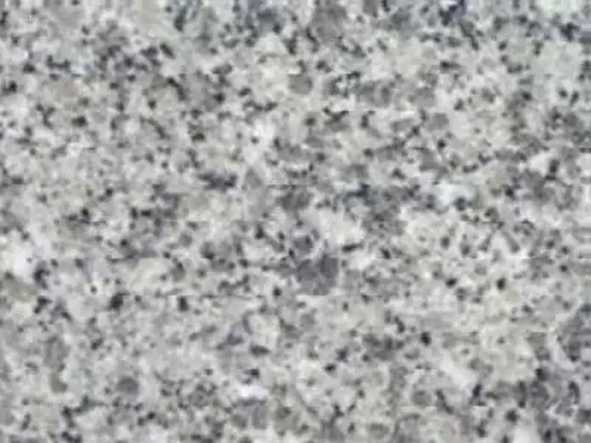 Crystal Flower G 3755 granit, échantillon poli – Marmi di Carrara – gris clair, gris (1)