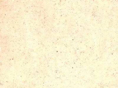 Curiaca Blanco travertino, campione lucido – Marmi di Carrara – bianco, avorio (1)