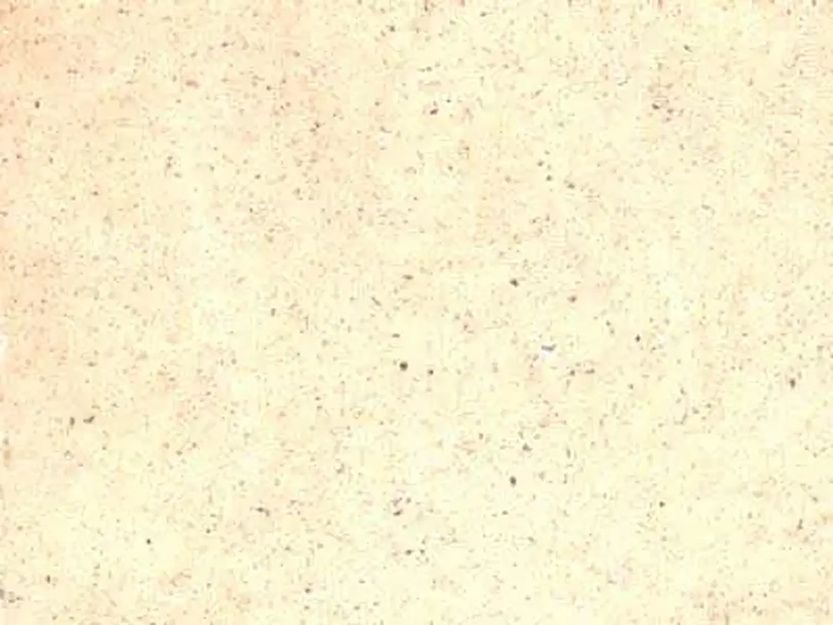 Curiaca Blanco travertino, muestra pulida – Marmi di Carrara – blanco, marfil (1)