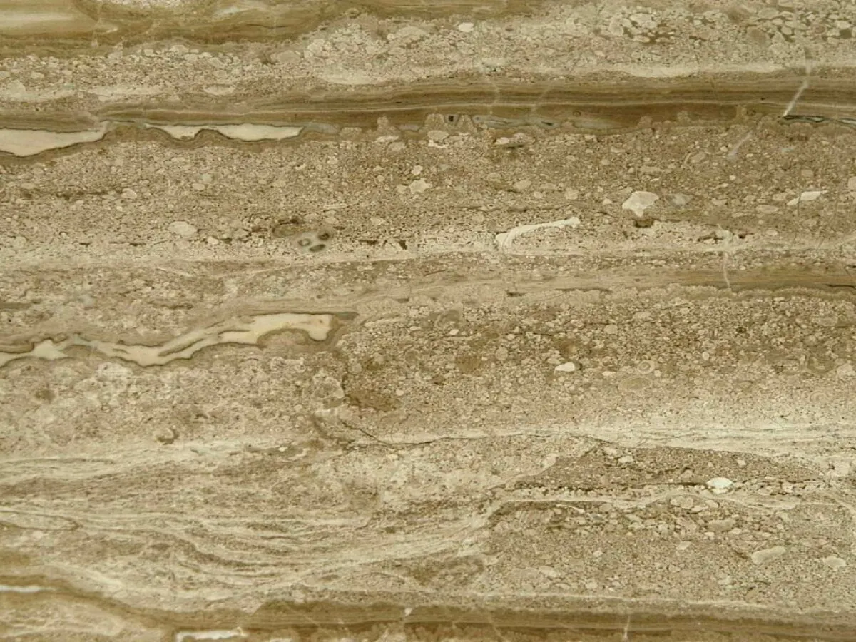 Daino Reale Marmor, Plattenoberfläche – Marmi di Carrara – gold, beige (3)