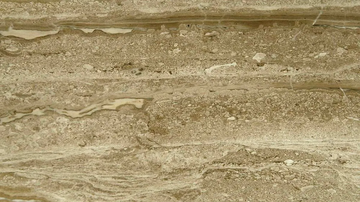 Daino Reale mármol, superficie de losa – Marmi di Carrara – dorado, beige (7)