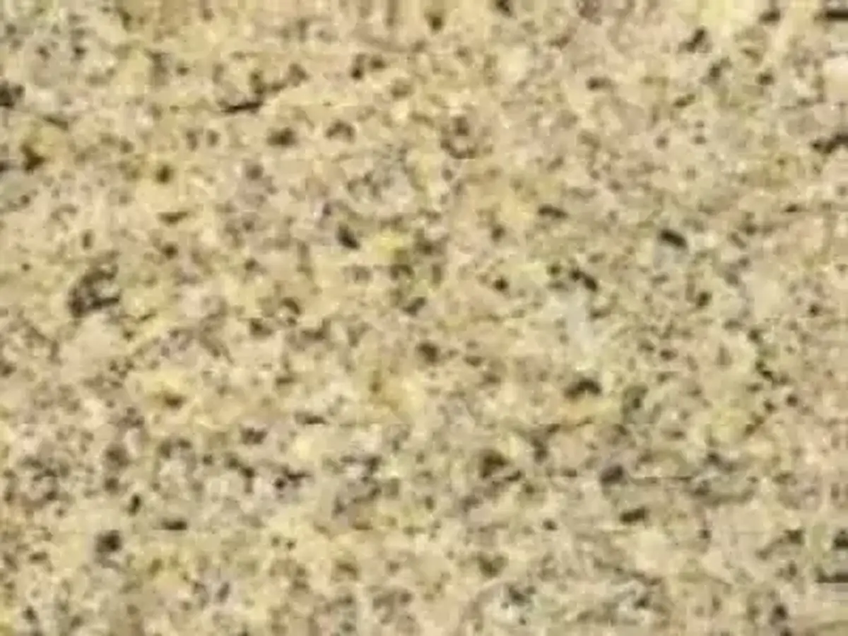 Desert Gold G 682 Granit, polierte Probe – Marmi di Carrara – beige, gold (1)