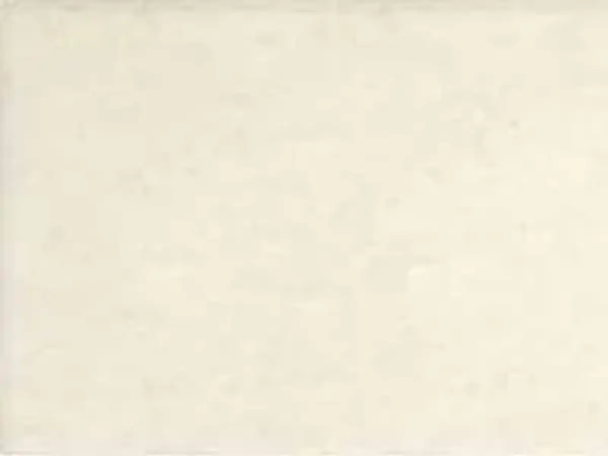 Dionysos Vratza calcare, campione lucido – Marmi di Carrara – bianco, avorio (1)