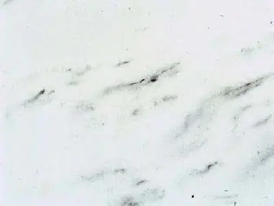 Elafochori Kavalas Semi White marble polished sample – Marmi di Carrara – white, ivory (1)