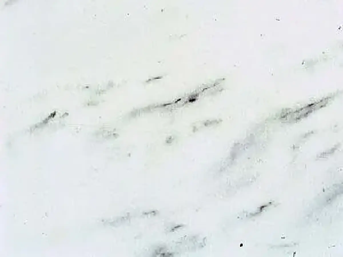 Elafochori Kavalas Semi White marble polished sample – Marmi di Carrara – white, ivory (1)