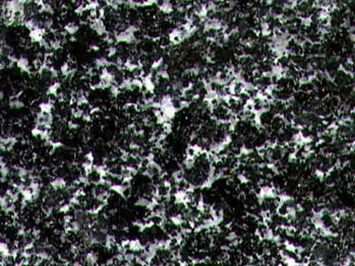 Fhq granit, échantillon poli – Marmi di Carrara – noir, anthracite (1)