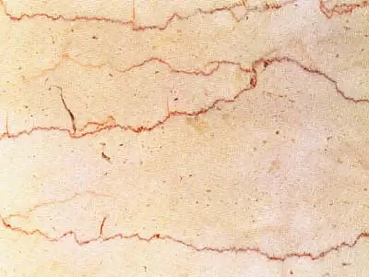 Filetto Rosso Trani limestone polished sample – Marmi di Carrara – ivory, beige (1)