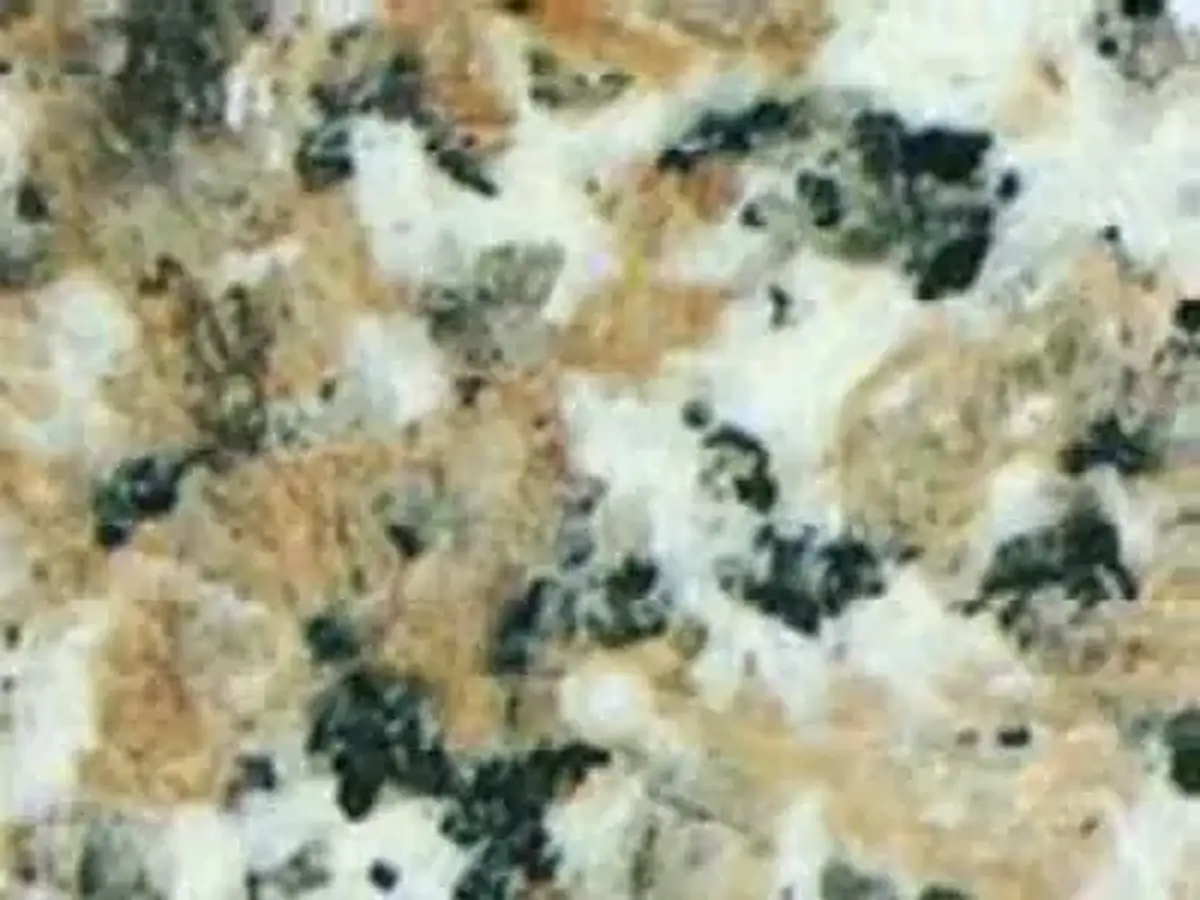 Five Water Lily G 3742 granito, campione lucido – Marmi di Carrara – grigio, beige (1)