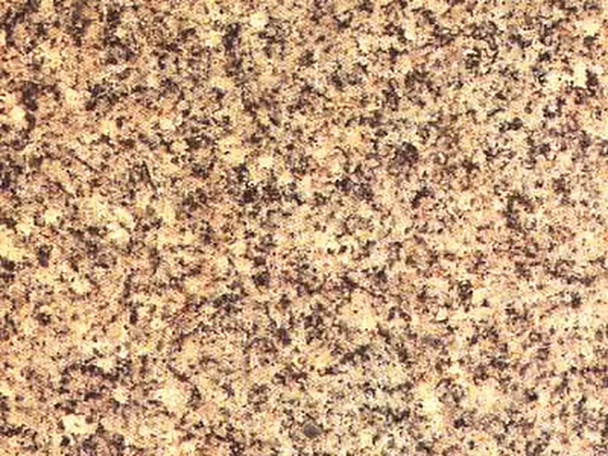 G 1303 granit, échantillon poli – Marmi di Carrara – beige, doré (1)