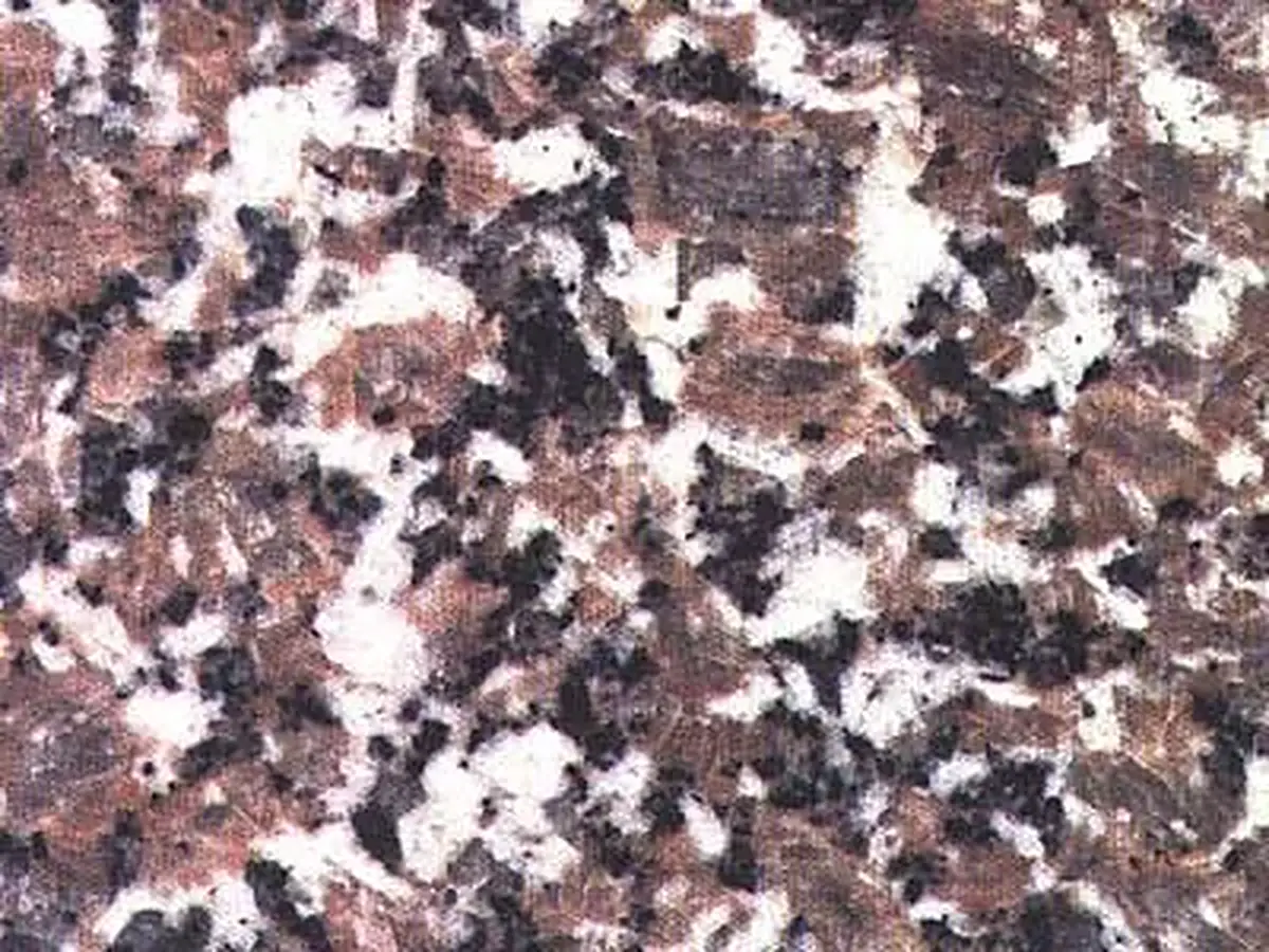 G 3761 Granit, polierte Probe – Marmi di Carrara – violett, grau (1)