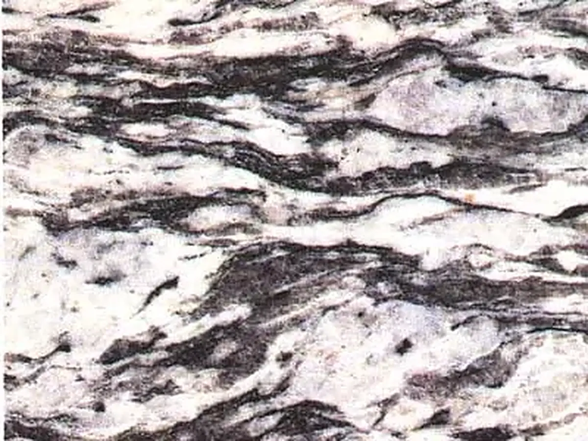 G 4418 granit, échantillon poli – Marmi di Carrara – blanc, gris (1)