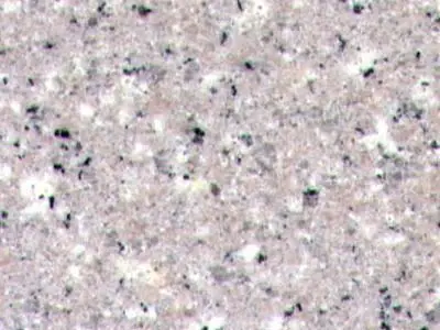 G606 натуральный камень, полированный образец – Marmi di Carrara – светло-серый, слоновая кость (1)