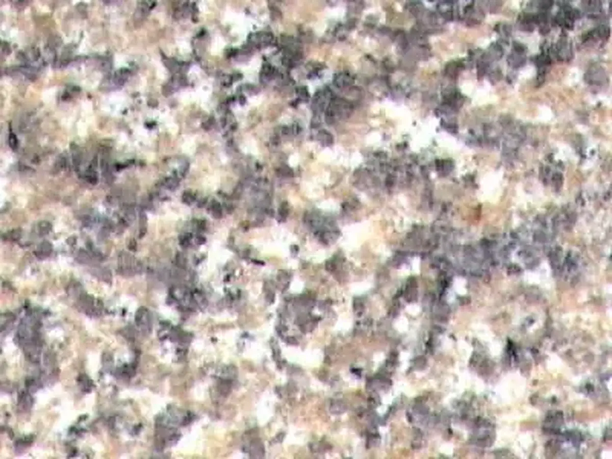 G657 granito, muestra pulida – Marmi di Carrara – beige, gris claro (1)