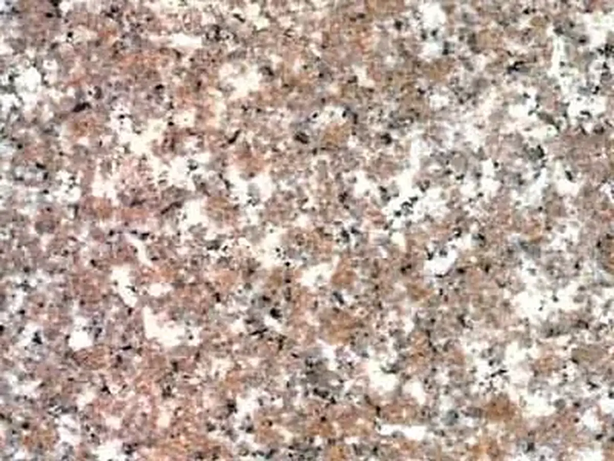 G663 granito, muestra pulida – Marmi di Carrara – beige, gris (1)
