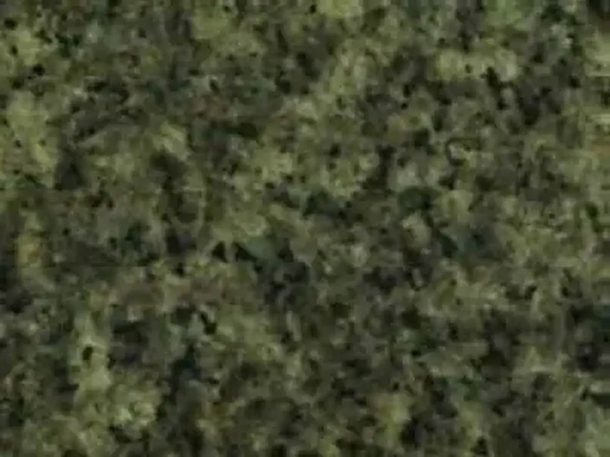 Galaxy Green G 1306 Granit, polierte Probe – Marmi di Carrara – anthrazit, schwarz (1)