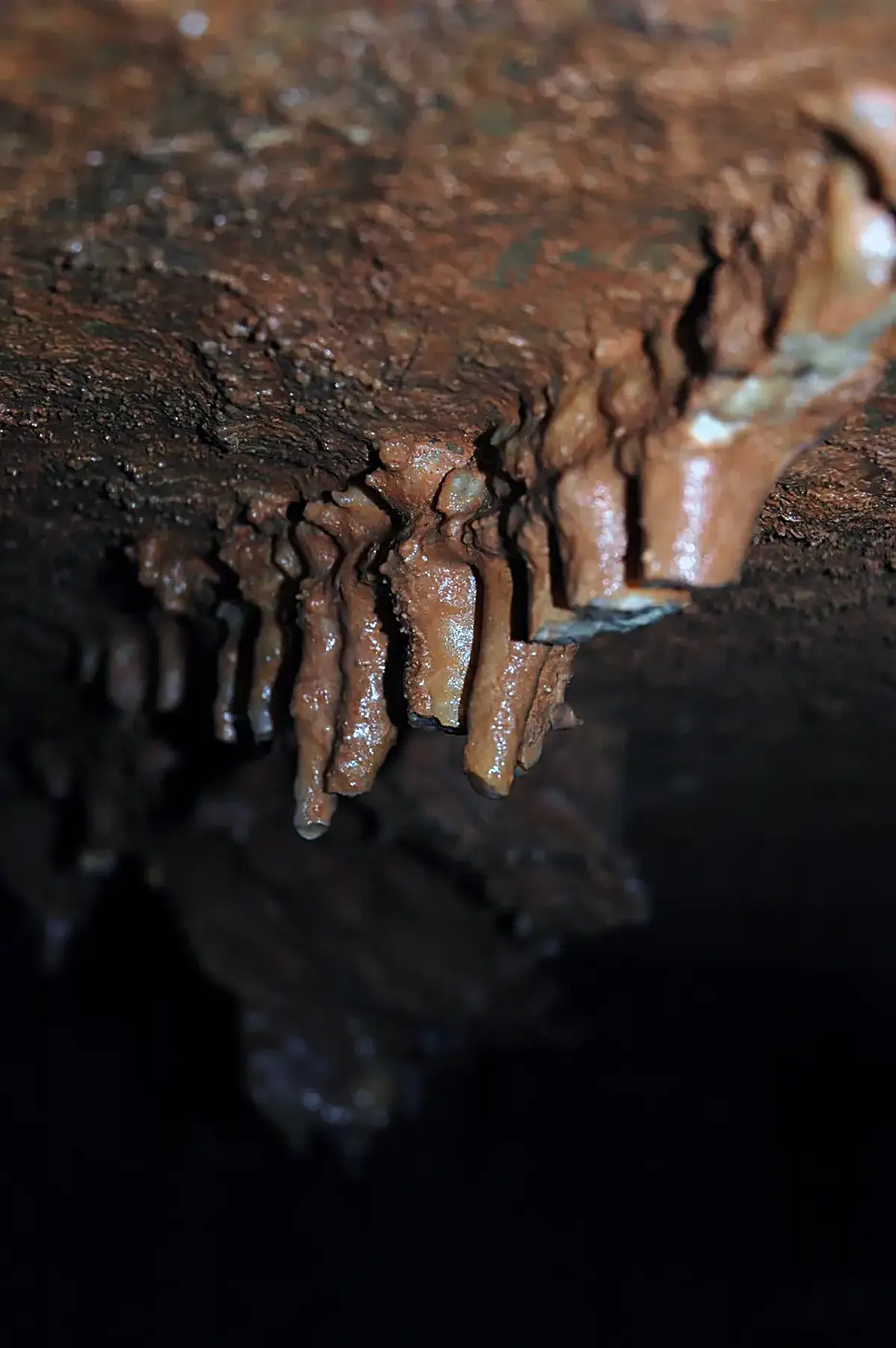 Detalle de superficie: 033 Dripstone 11