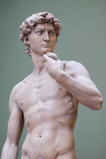 Detalle de superficie: Michaelangelo's David, Victoria and Albert Museum, London. Fujifilm. (25066190575)