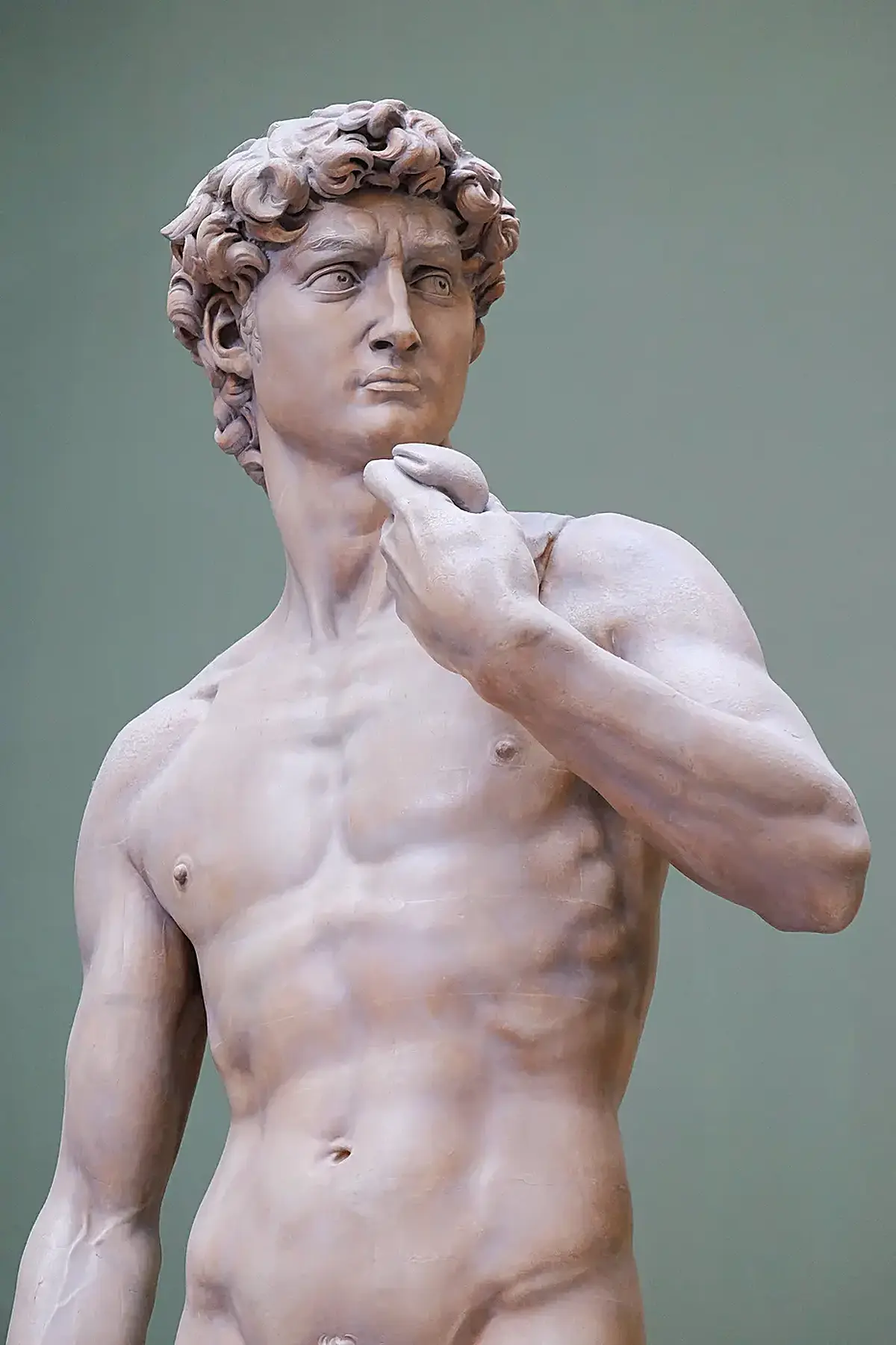 Surface detail: Michaelangelo's David, Victoria and Albert Museum, London. Fujifilm. (25066190575)