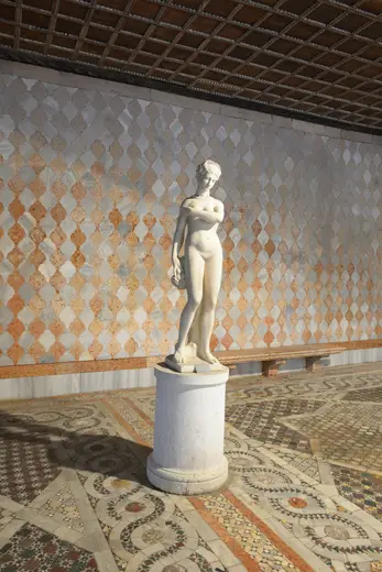 Detalle de superficie: Ca d Oro statua di Flora marmo di Carrara Venezia