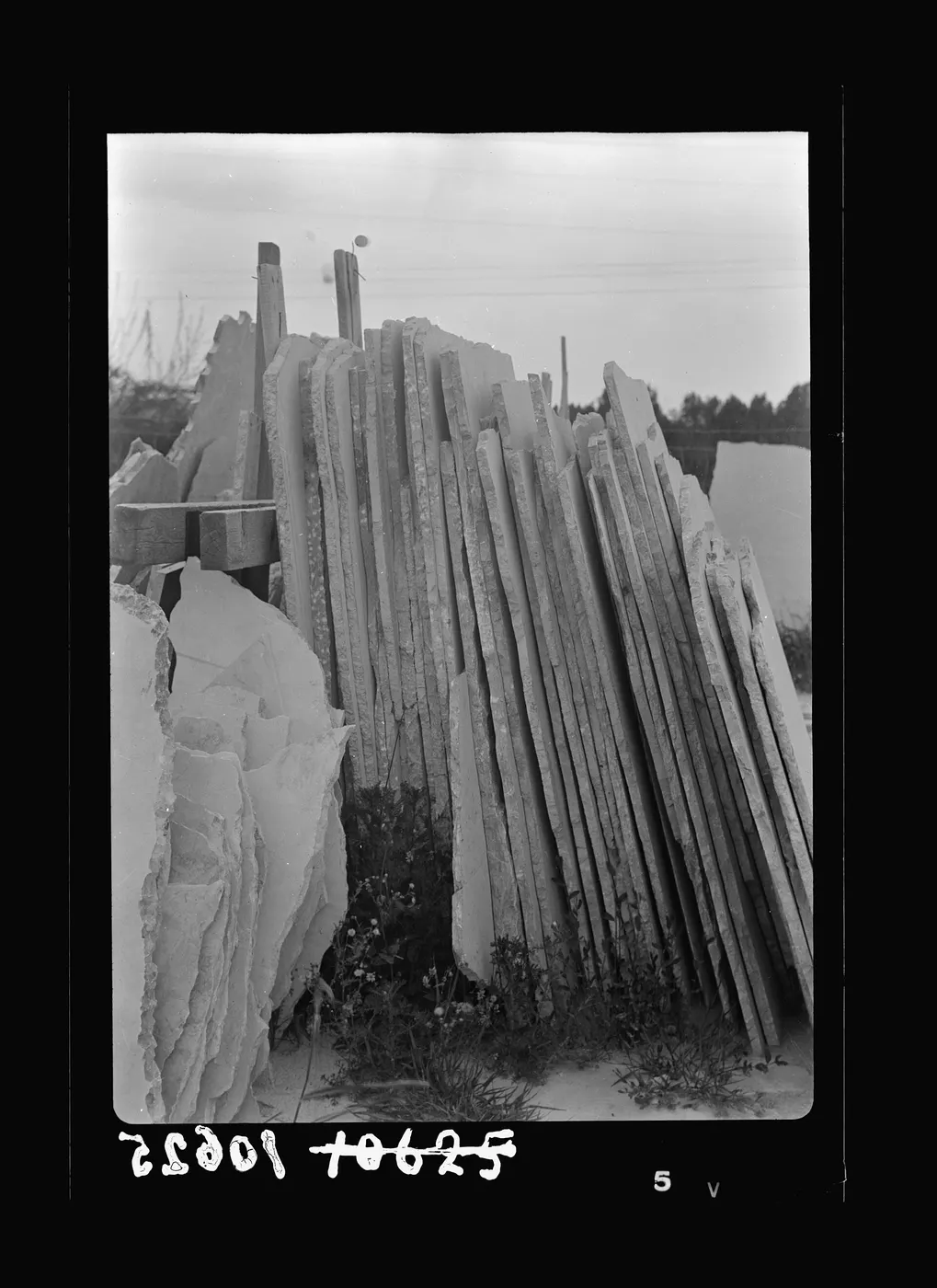 Dettaglio di superficie: Jewish factories in Palestine on Plain of Sharon & along the coast to Haifa. Petah-Tikvah.