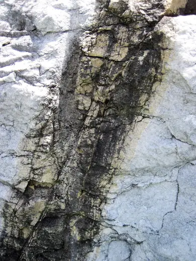 Detalle de superficie: Dolomitized marble in marble (Gouverneur Marble, Mesoproterozoic, ~1.1 Ga; Route 11 roadcu