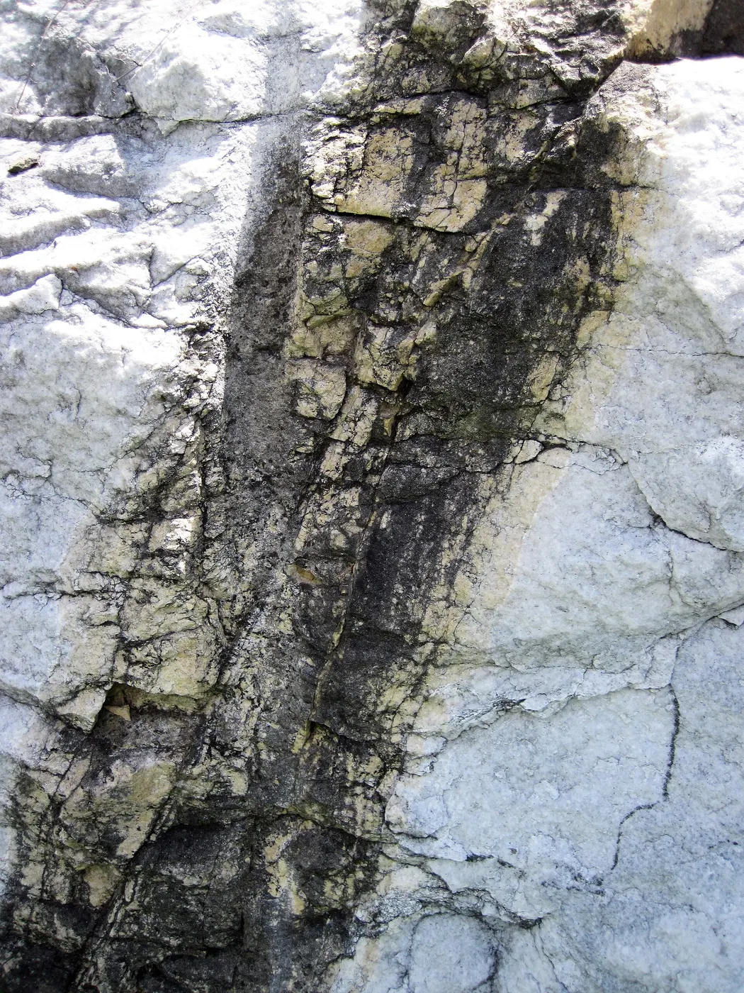 Деталь поверхности: Dolomitized marble in marble (Gouverneur Marble, Mesoproterozoic, ~1.1 Ga; Route 11 roadcu