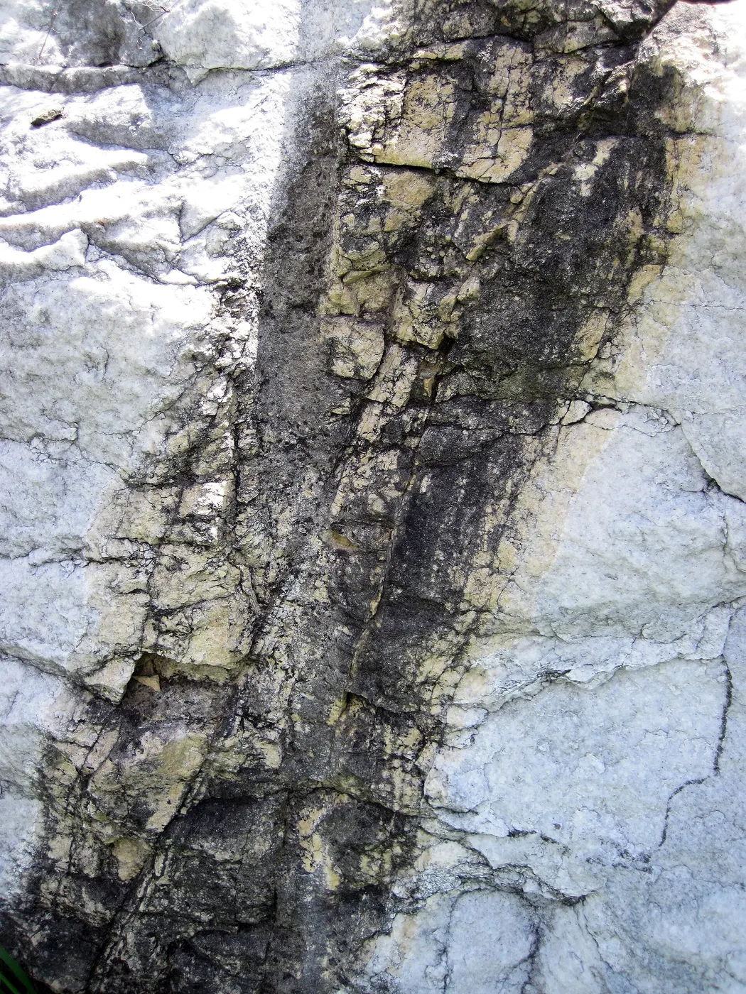 Oberflächendetail: Dolomitized marble in marble (Gouverneur Marble, Mesoproterozoic, ~1.1 Ga; Route 11 roadcu