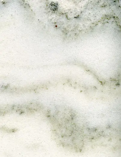 Detalle de superficie: Danby White Marble (Shelburne Formation, Pennsylvanian metamorphism of Ordovician limeston