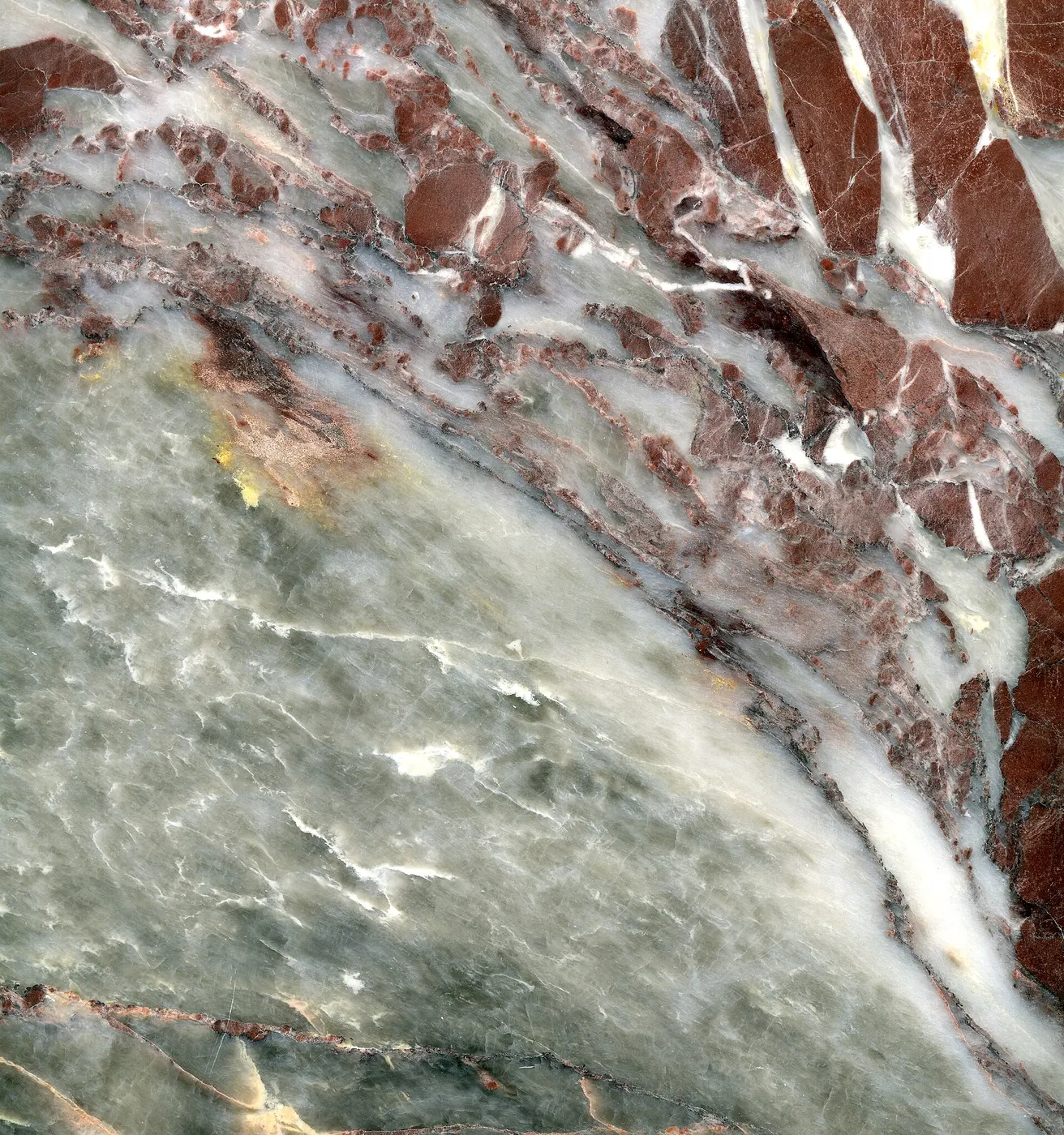 Dettaglio di superficie: Salome Marble (Supren Marble) (brecciated marble, metamorphosed during the Cimmeride Oroge