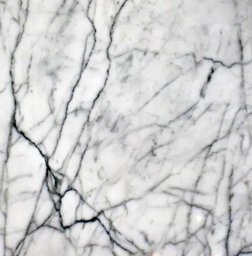 Surface detail: Statuarietto White Marble (Apuan Marble Formation, Tertiary metamorphism of Jurassic limes