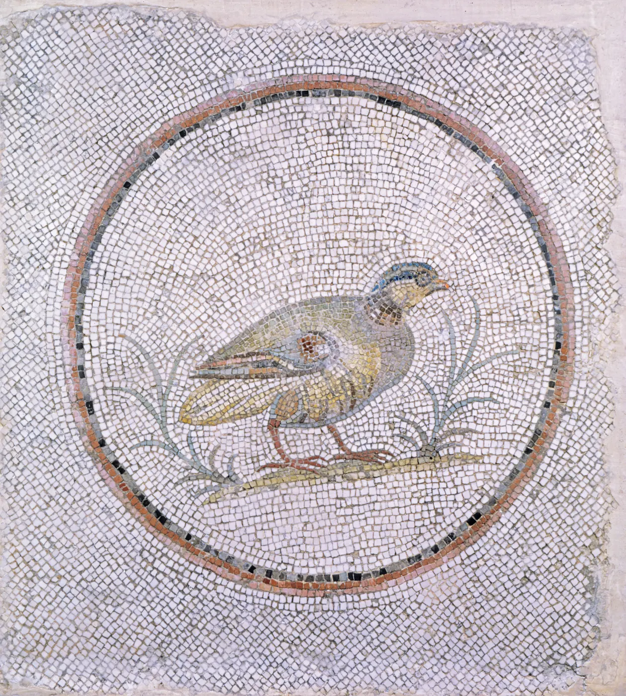 Flooring: Roman - Floor Mosaic with Partridge - Walters 4318