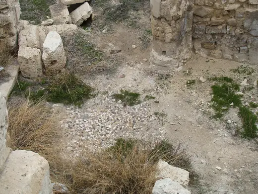 Flooring: Mosaic Floor at Kom el Dikka (II)