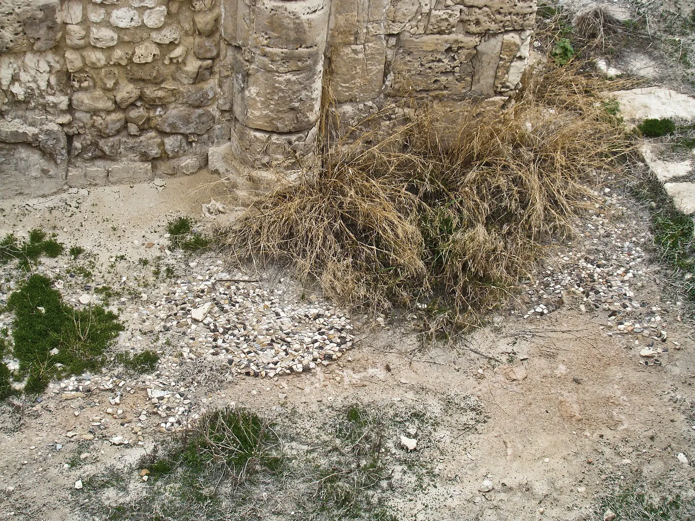 Suelo: Mosaic Floor at Kom el Dikka (III)