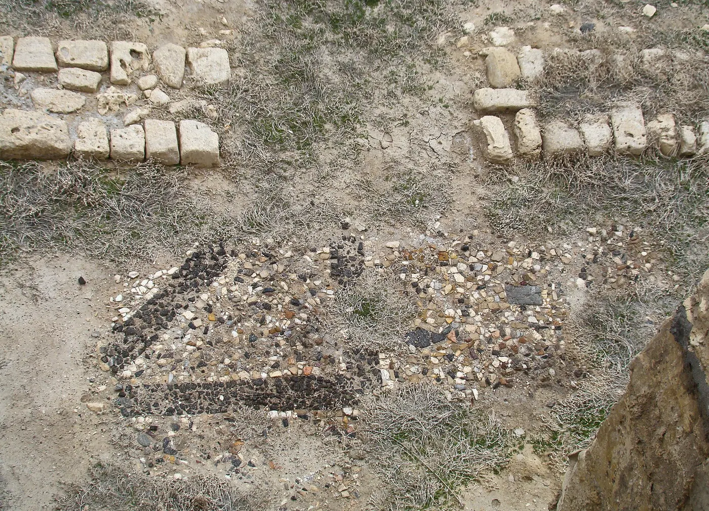 Suelo: Mosaic Floor at Kom el Dikka (I)