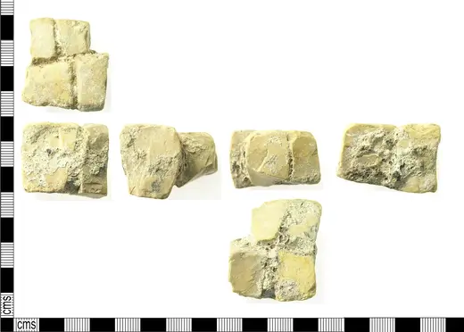 Flooring: Fragment of Roman mosaic flooring consisting of 4 joined tesserae. (FindID 765647)