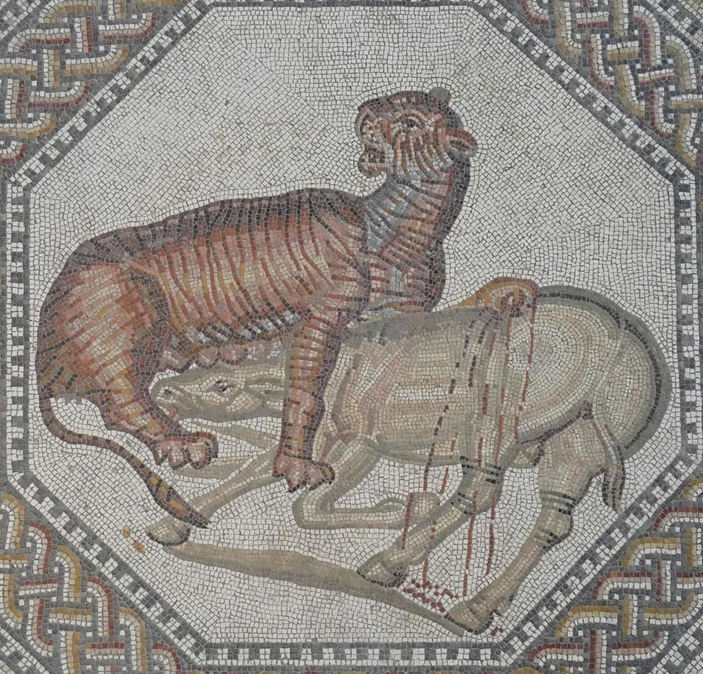 Mosaico: Nennig Roman Villa and Mosaics - 51133502182