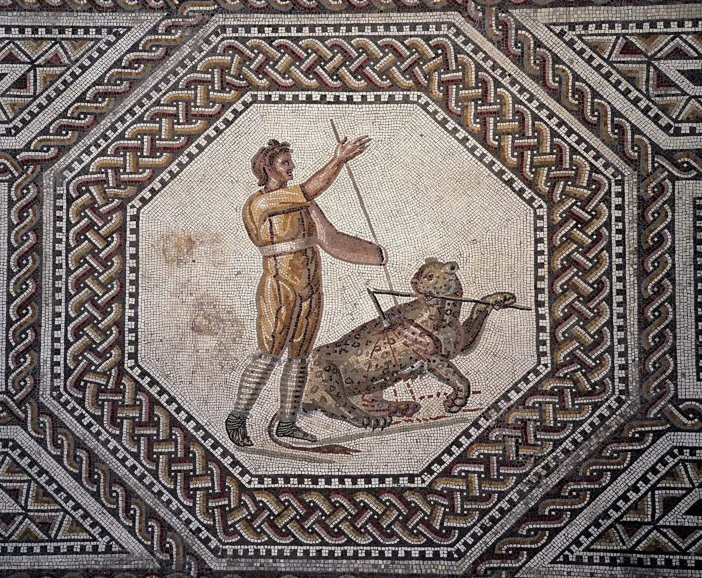 Mosaïque: Nennig Roman Villa and Mosaics - 51134171616