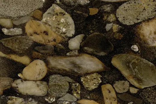 Mosaico in pietra naturale – Marmi di Carrara