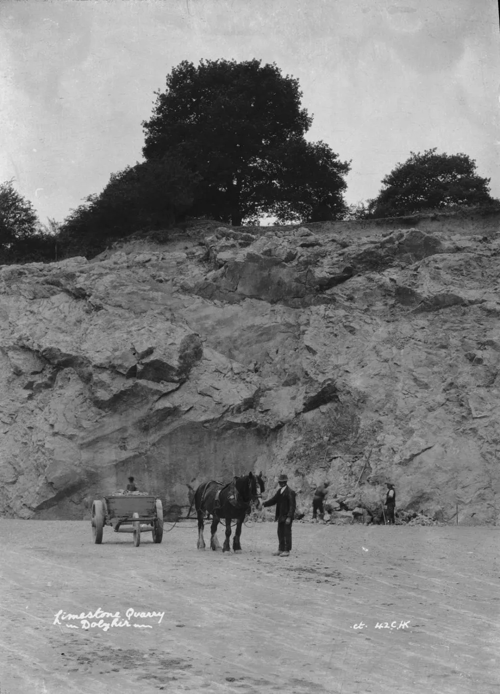 Quarry view: Limestone quarry Dolyhir (1294638)
