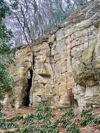Вид карьера: Former quarry, near Crawley Hill, Uley, Gloucestershire - 2