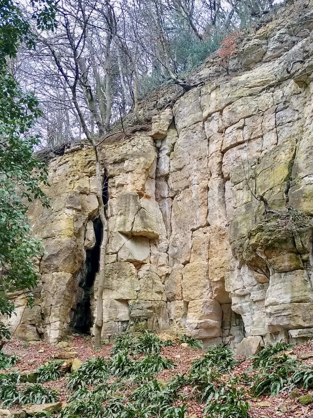 Vue de carrière: Former quarry, near Crawley Hill, Uley, Gloucestershire - 2