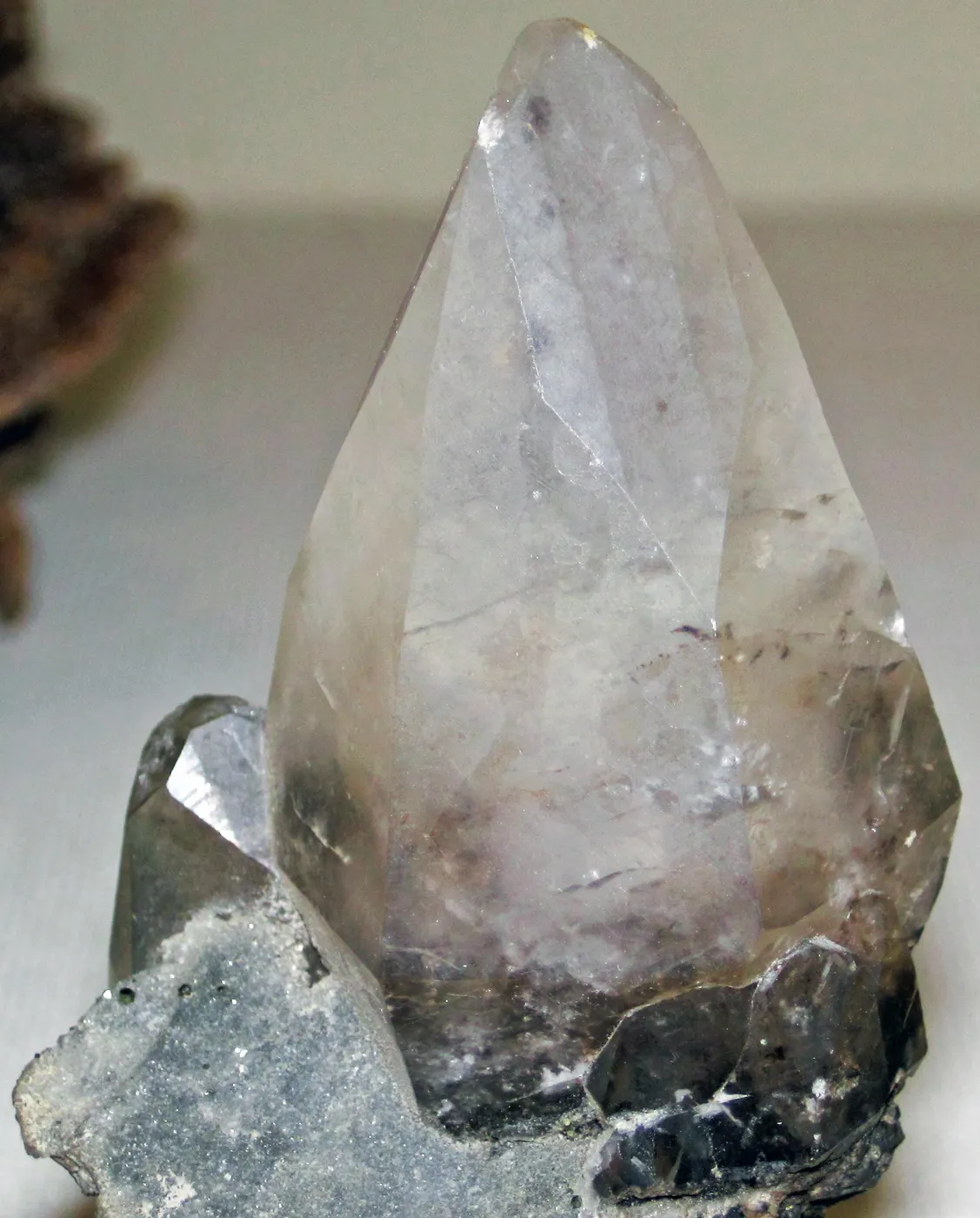 Veduta di cava: Calcite (Muscatatuck Group, Middle Devonian; Rensselear Stone Quarry, Pleasant Ridge, Indi