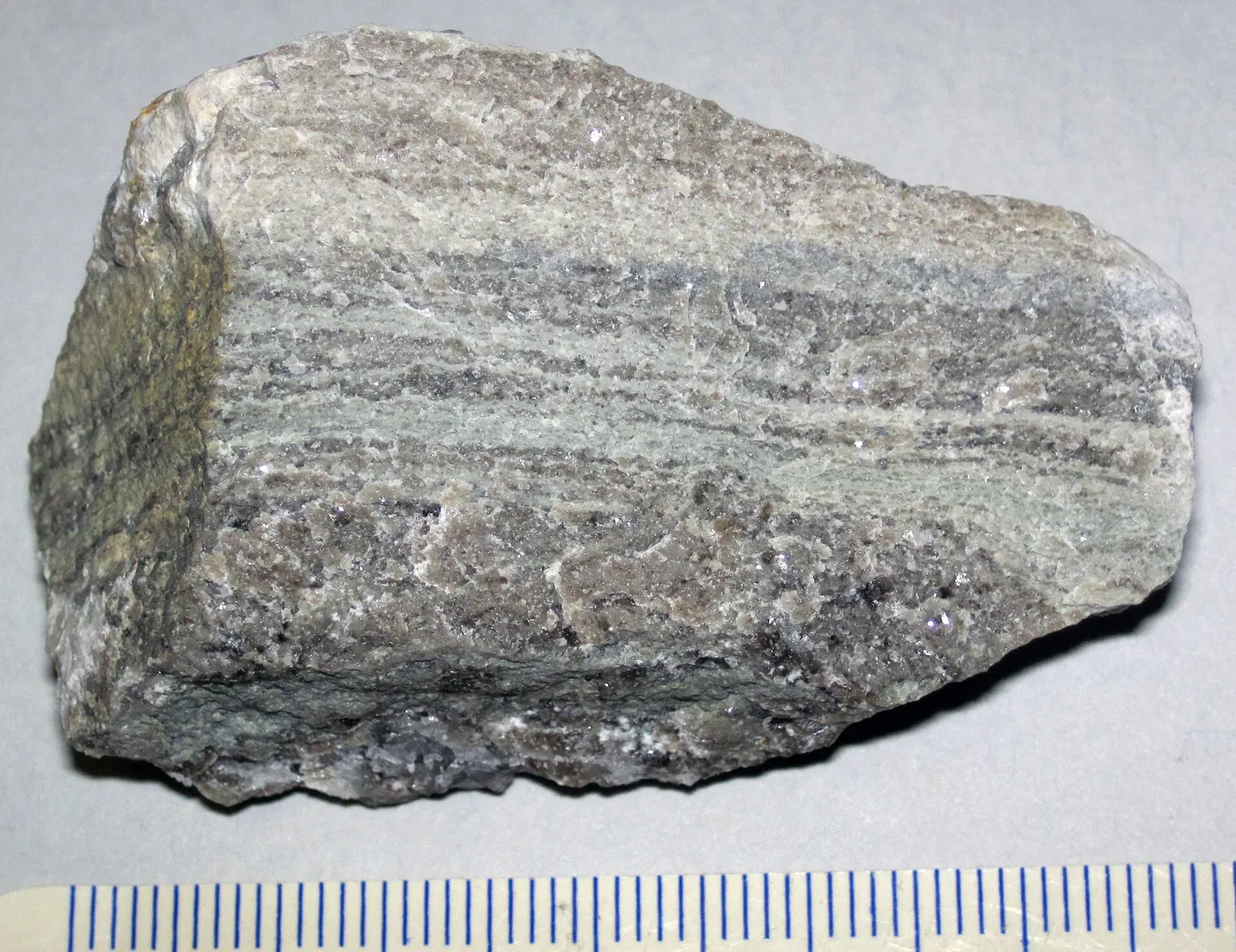 Вид карьера: Laminated argillaceous limestone (Maxville Limestone, Mississippian; Pleasant Valley Limes