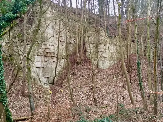 Вид карьера: Knap House Quarry, Birdlip, Gloucestershire - 1
